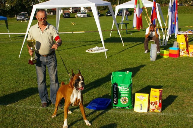 www.boxer-show.eu